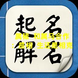 属猪  和属马合作：是相  生还是相克